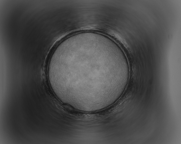 X0000095681308200801291149