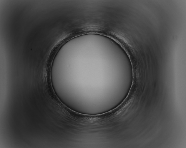 X0000095681309200801291149