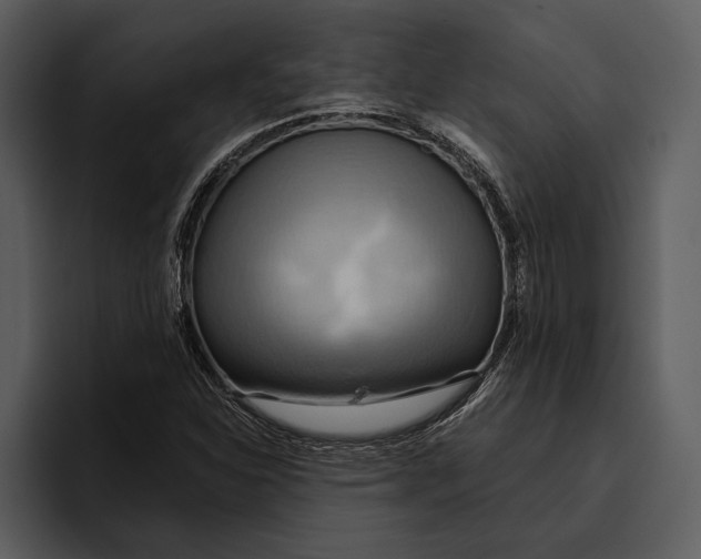 X0000095681310200801291149