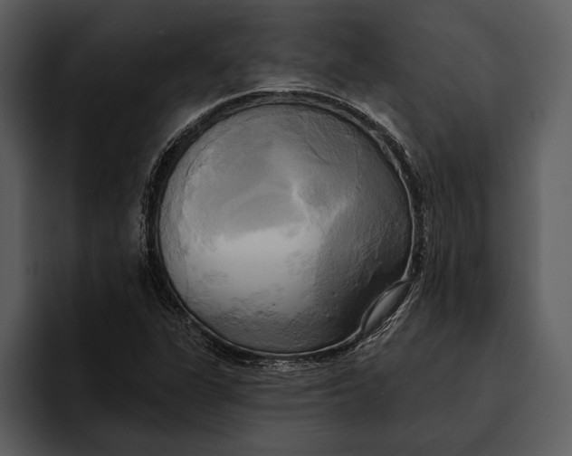 X0000095681311200801291149