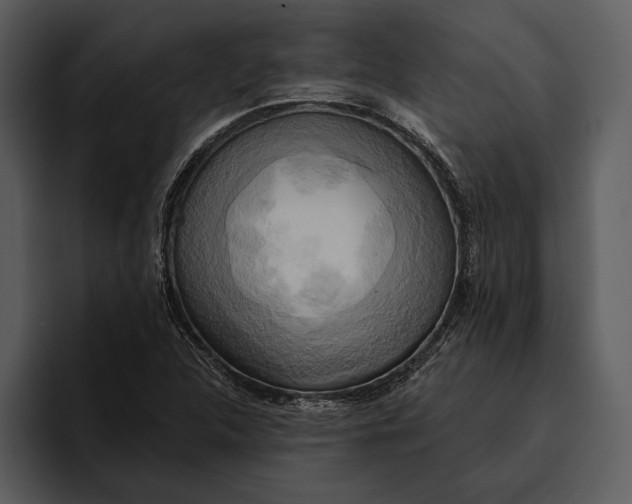 X0000095681312200801291149