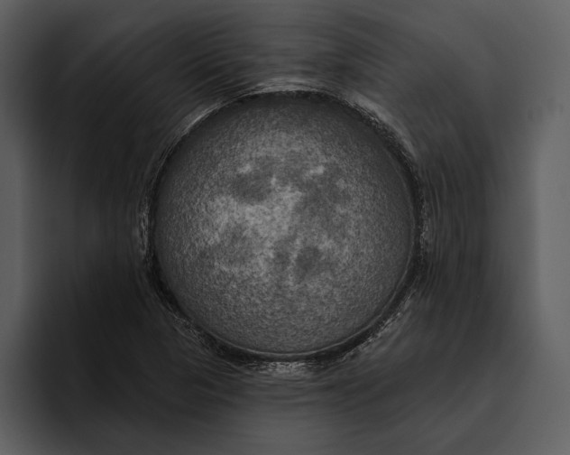 X0000095681313200801291149