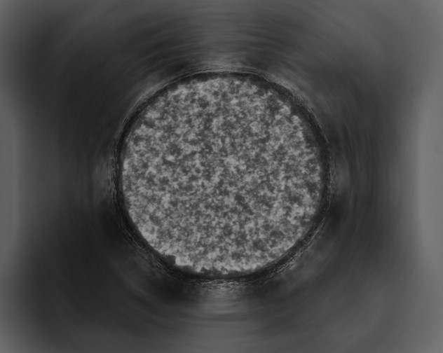 X0000095681314200801291149