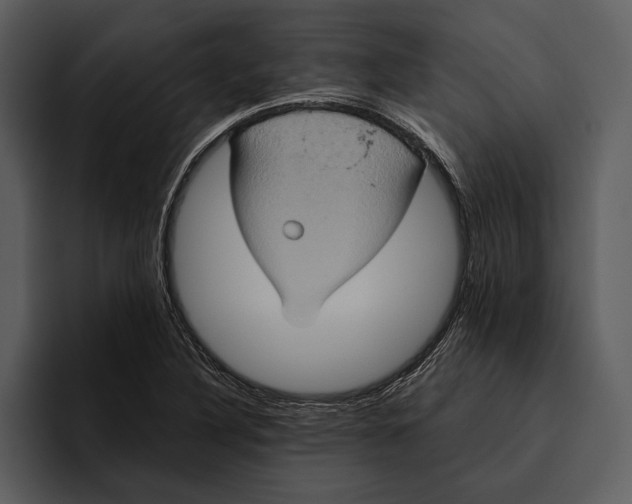 X0000095681316200801291149