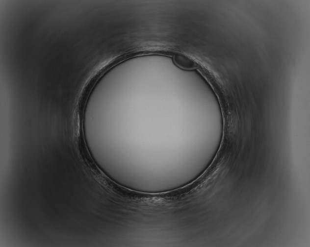 X0000095681317200801291149