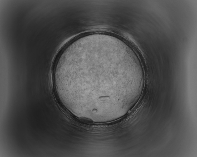 X0000095681320200801291149