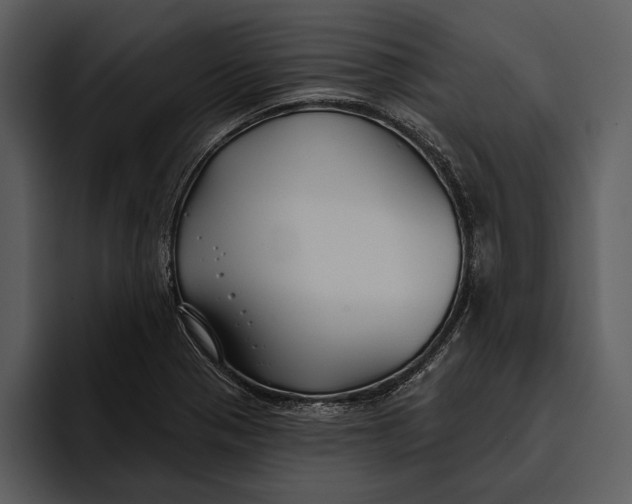 X0000095681321200801291149