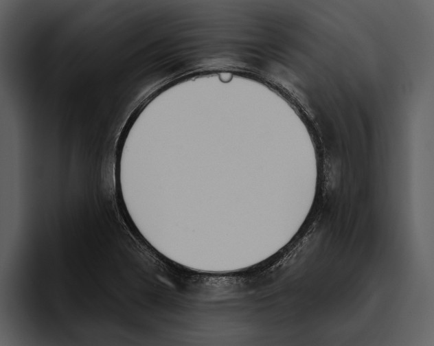 X0000095681322200801291149