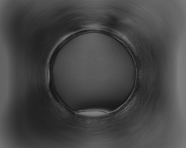 X0000095681323200801291149