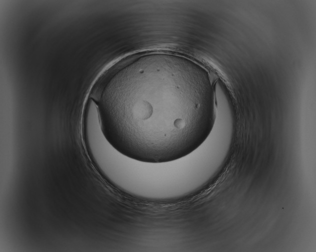 X0000095681324200801291149