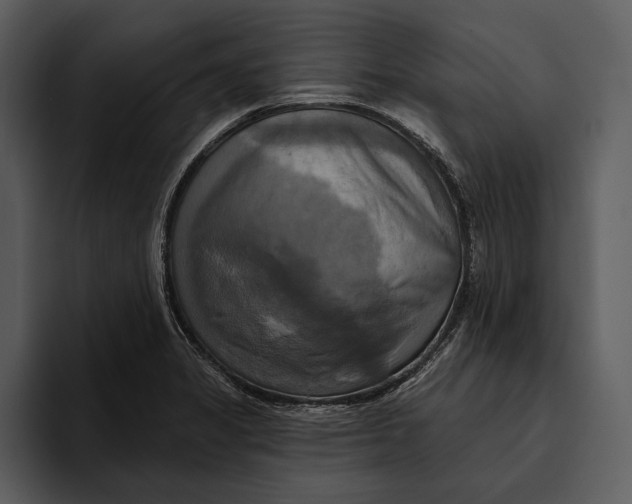 X0000095681325200801291149