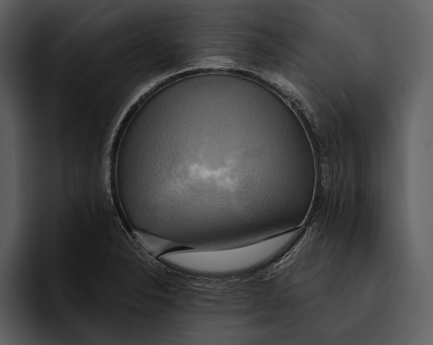 X0000095681326200801291149