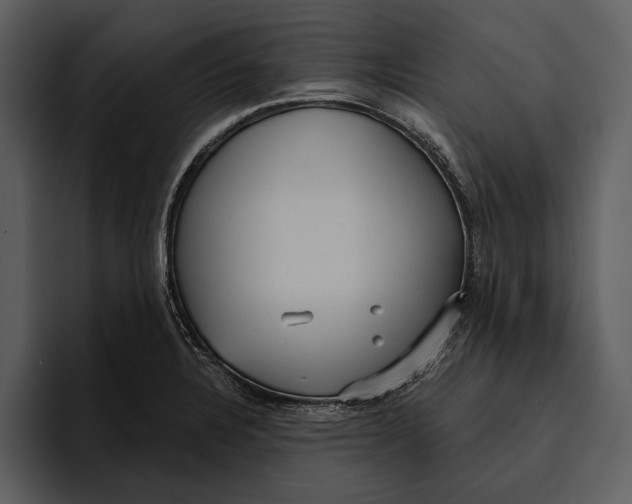 X0000095681328200801291149