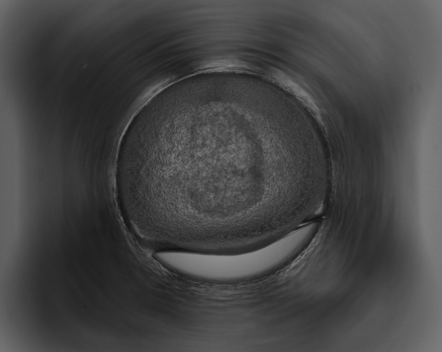 X0000095681330200801291149