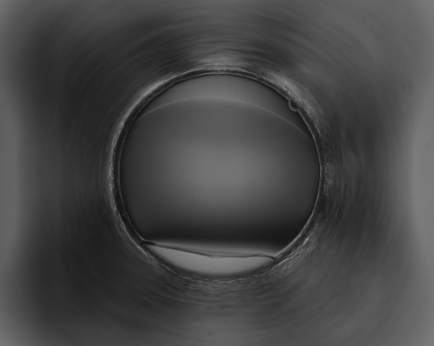 X0000095681331200801291149