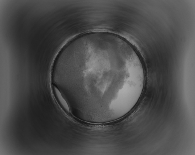 X0000095681333200801291149