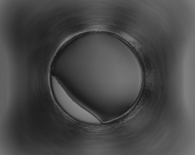 X0000095681334200801291149