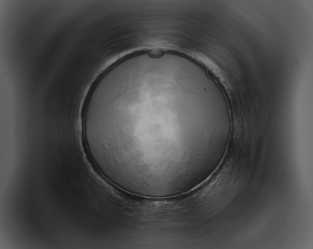 X0000095681335200801291149