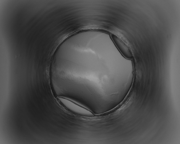 X0000095681337200801291149