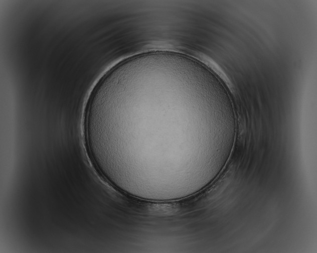 X0000095681339200801291149