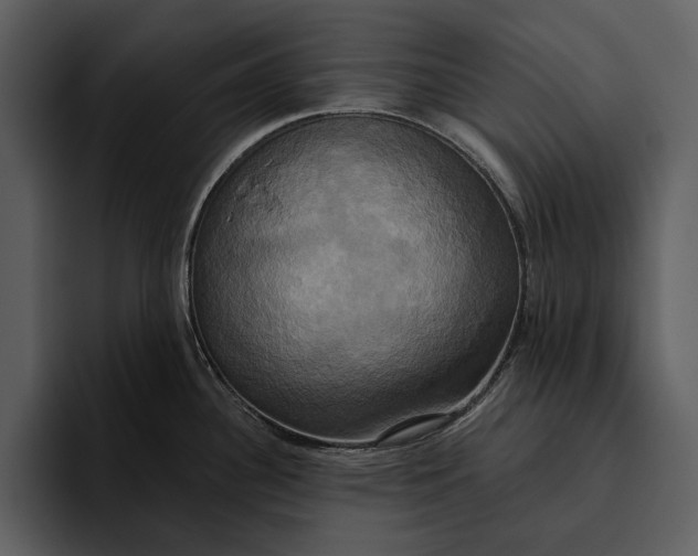 X0000095681340200801291149