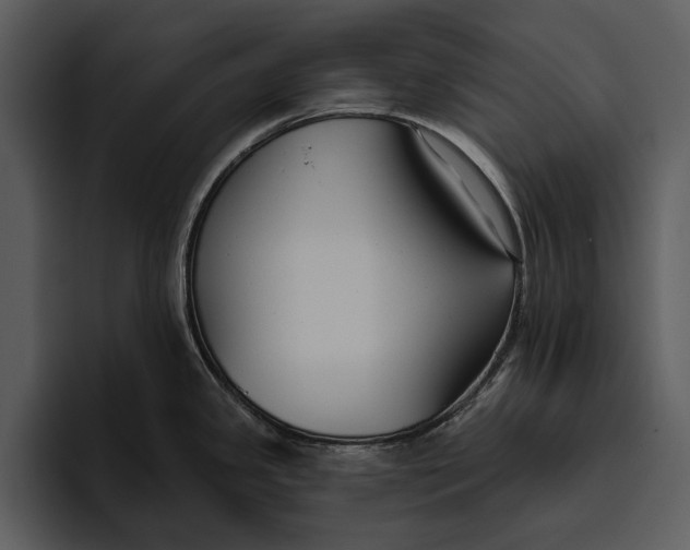 X0000095681341200801291149