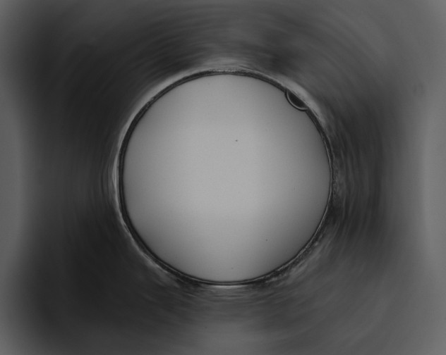 X0000095681343200801291149