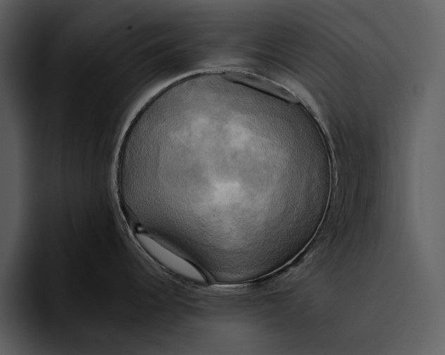 X0000095681344200801291149