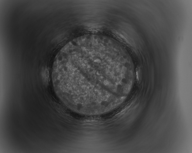 X0000095681347200801291149