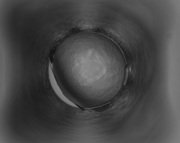 X0000095681348200801291149