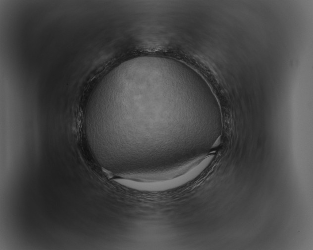 X0000095681349200801291149