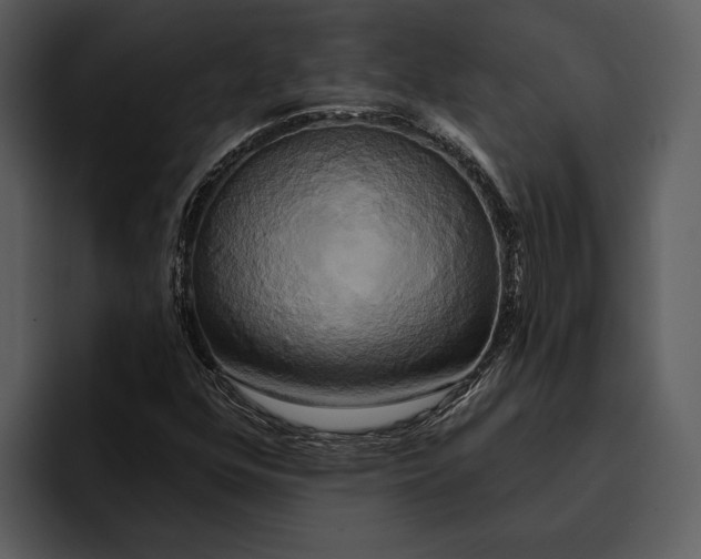 X0000095681352200801291148