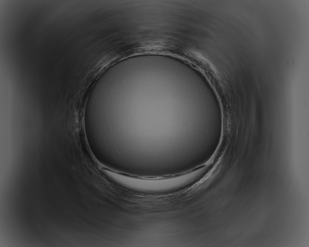 X0000095681353200801291148