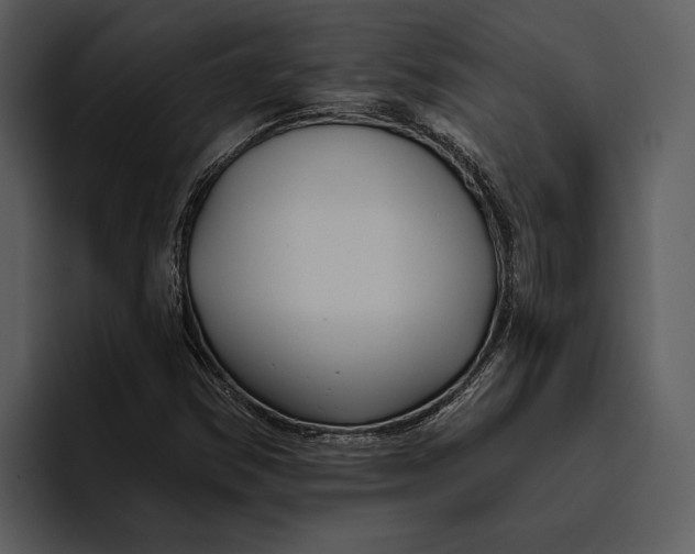 X0000095681354200801291148