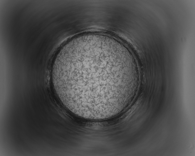 X0000095681355200801291148