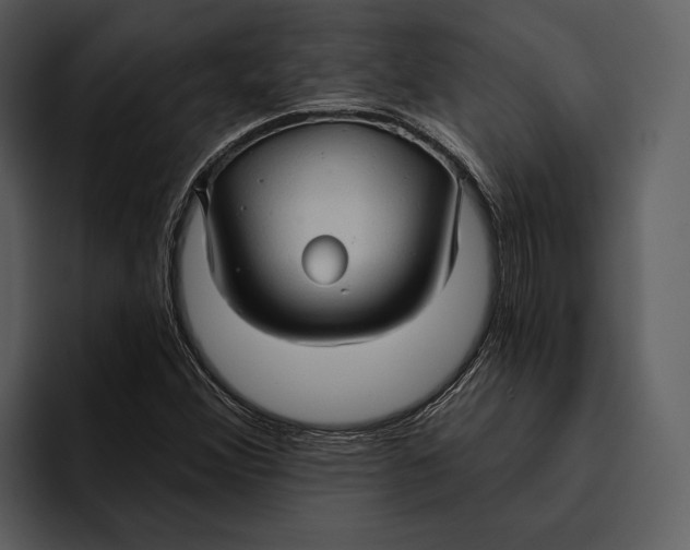 X0000095681356200801291148