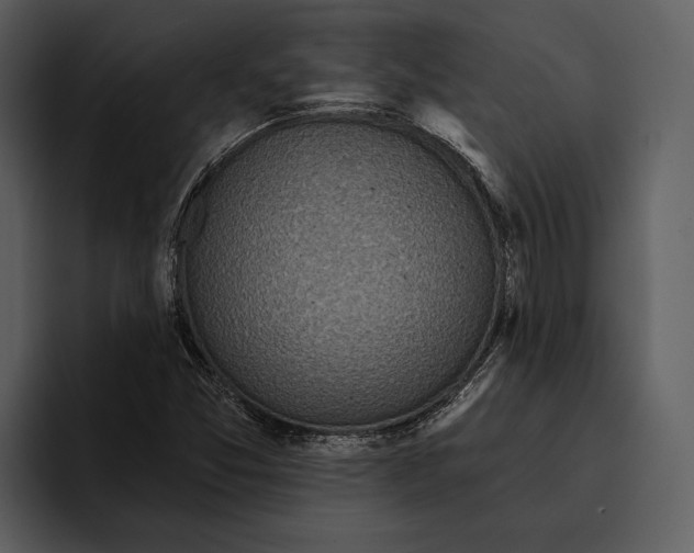 X0000095681357200801291148