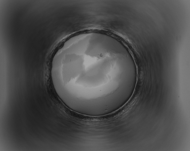 X0000095681359200801291148