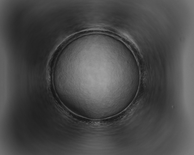 X0000095681360200801291148