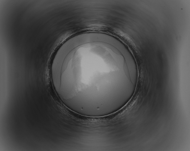 X0000095681362200801291148