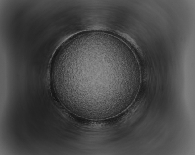 X0000095681364200801291148