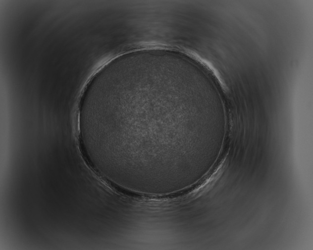 X0000095681365200801291148