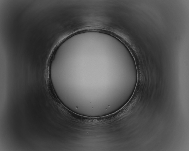 X0000095681366200801291148