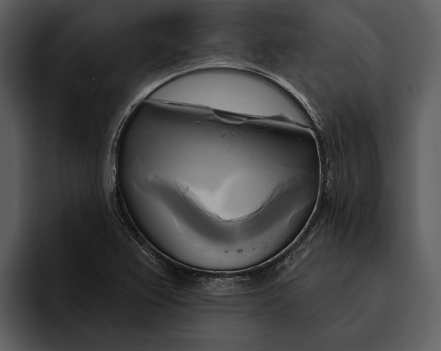 X0000095681367200801291148