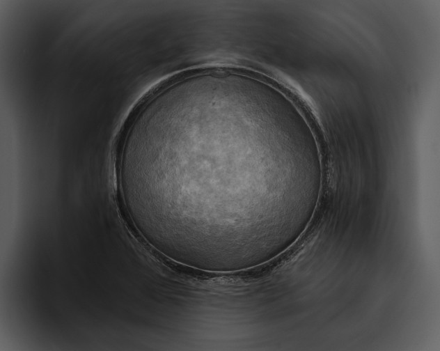 X0000095681368200801291148