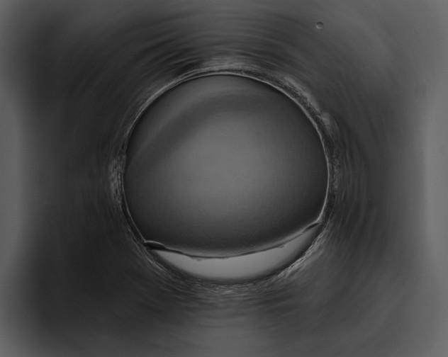 X0000095681369200801291148