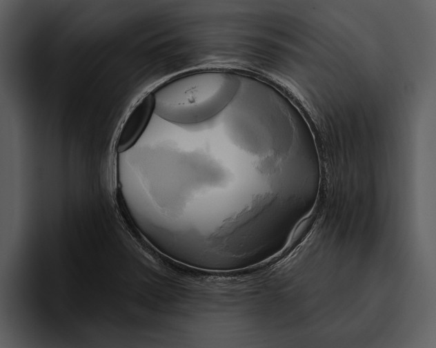 X0000095681371200801291148