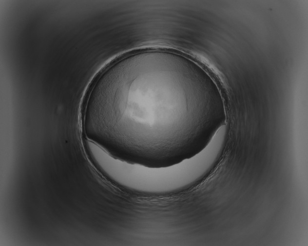 X0000095681372200801291148