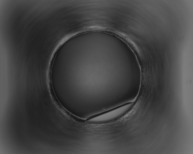 X0000095681373200801291148