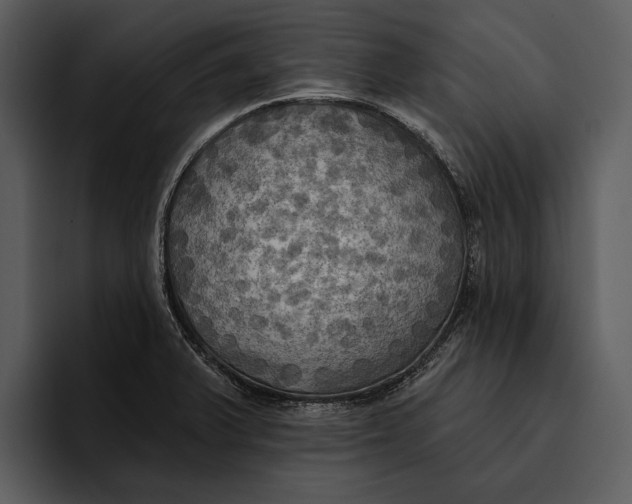 X0000095681375200801291148